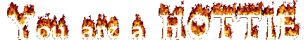 1992 Ford Taurus - Text rendered in flames spells out 'You and I Gotta HOTTIE'.