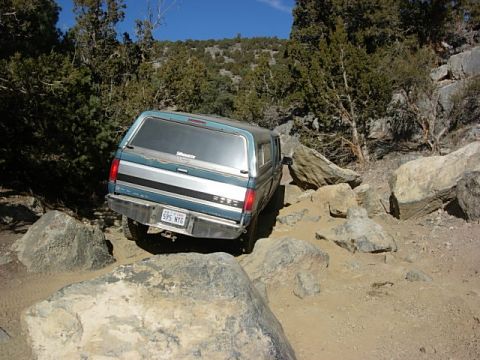 1987 Ford Bronco - This 1987 Ford Bronco is shown on a challenging off-road path with large rocks and trees.