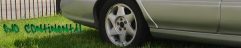 1993 Ford Taurus - Silver sedan's rear side profile with graffiti on the grass below.