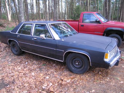1991 Ford LTD Crown Victoria - A dark blue sedan sits in a wooded area, parked beside a red pickup truck.