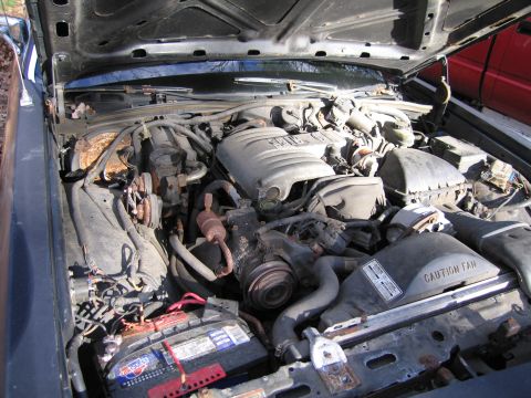 1991 Ford LTD Crown Victoria - The engine bay of a car, showing the V8 engine, battery, and various hoses and components.