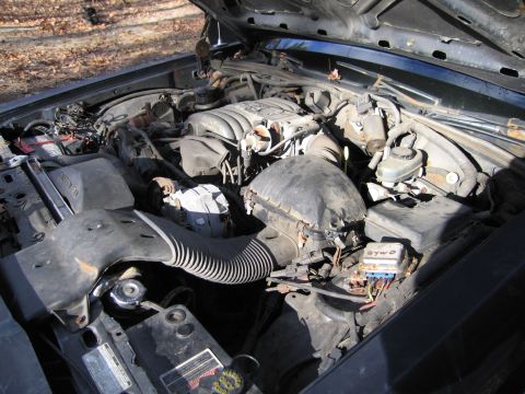 1991 Ford LTD Crown Victoria - The engine bay of a 1991 Ford Crown Victoria LTD is visible with the hood open.