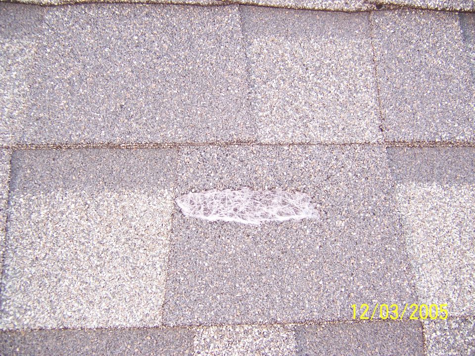 Damaged roof shingles with a white, web-like substance on them. Date stamp reads 12/03/2009