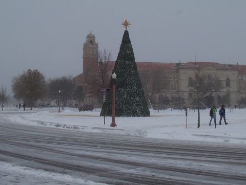 2003 Ford Ranger - A winter scene unfolds with a decorated Christmas tree and a building under a cloudy sky.