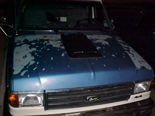 Scoop Mounted 2