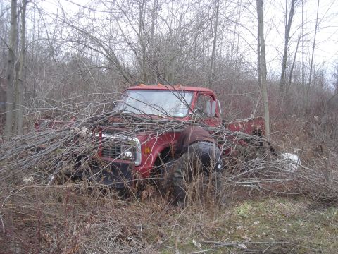 1979 Ford F-250 “Low and Slow”