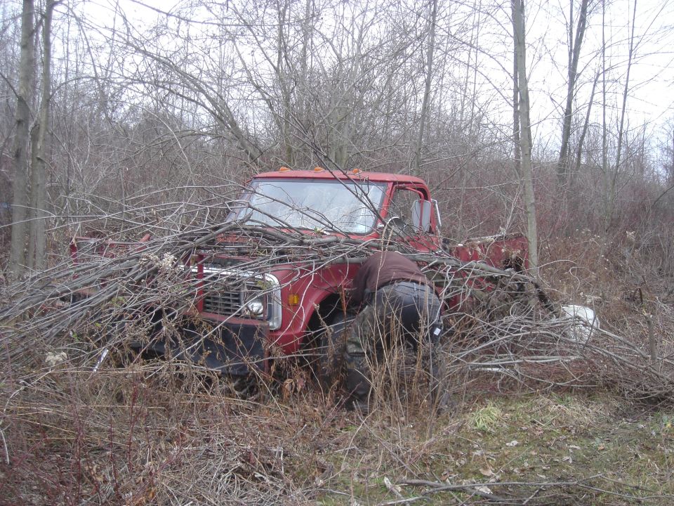red pickup truck overgrown with branches, person working on it