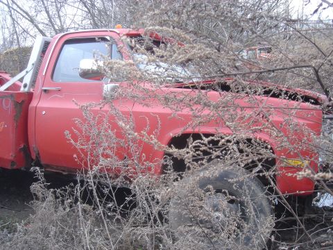 1979 Ford F-250 “Low and Slow”