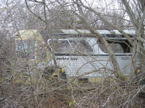 1979 Ford F-250 “Low and Slow”