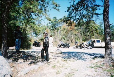 2006 Harley-Davidson Sportster Custom “Sin D Sue”