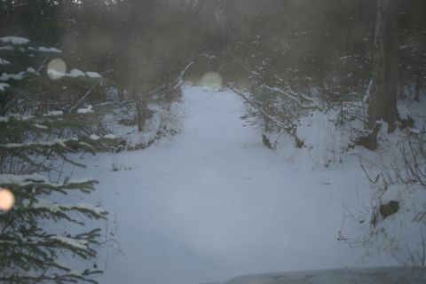 2003 Jeep TJ - A snowy path winds through trees in a winter landscape.