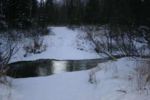 2003 Jeep TJ - A winter scene shows a partially frozen riverbank with snow-covered trees.