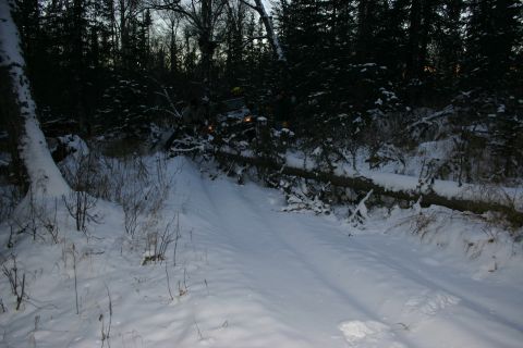 2003 Jeep TJ - Jeep partially obscured by fallen trees in a snowy forest scene.