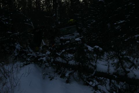 2003 Jeep TJ - A green Jeep Wrangler is partially obscured by snow and trees, seen from a 3q-front angle.