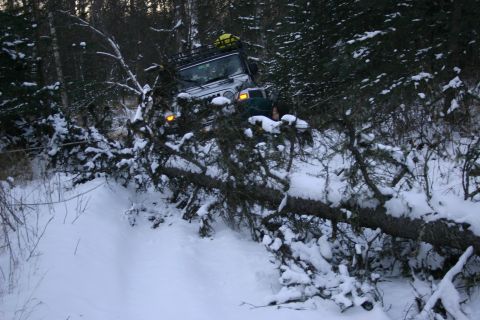 2003 Jeep TJ - Jeep Wrangler navigating a snowy forest trail with a fallen tree blocking the path.