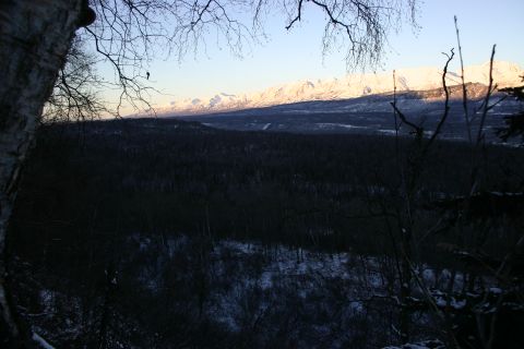 2003 Jeep TJ - Winter landscape with snow-covered trees and mountains visible at dusk.