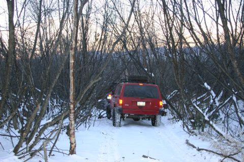 2003 Jeep TJ - Two red Jeep Cherokees navigate a snowy path through a forest with bare branches.