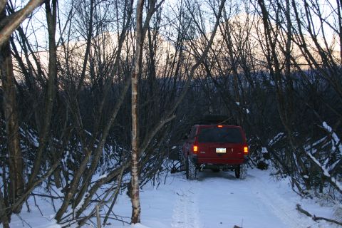 2003 Jeep TJ - A red SUV navigates a snow-covered trail surrounded by dense, leafless trees.