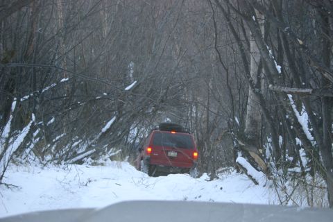 2003 Jeep TJ - Red SUV navigates a snowy path through a dense forest with snow-covered branches.
