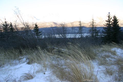 2003 Jeep TJ - Winter scene with snow-covered ground, trees, and distant mountains under a clear sky.