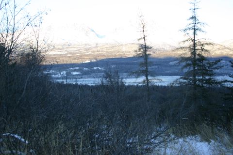 2003 Jeep TJ - A winter scene unfolds with snow-dusted trees and distant mountains under a bright sky.