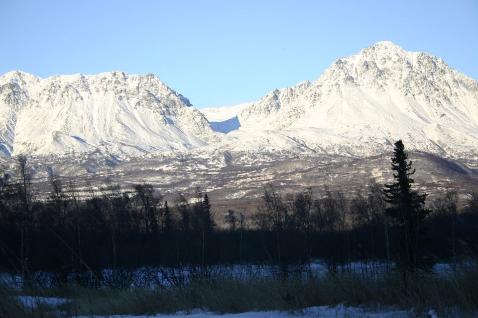Snowy mountains and dark trees under a clear blue sky