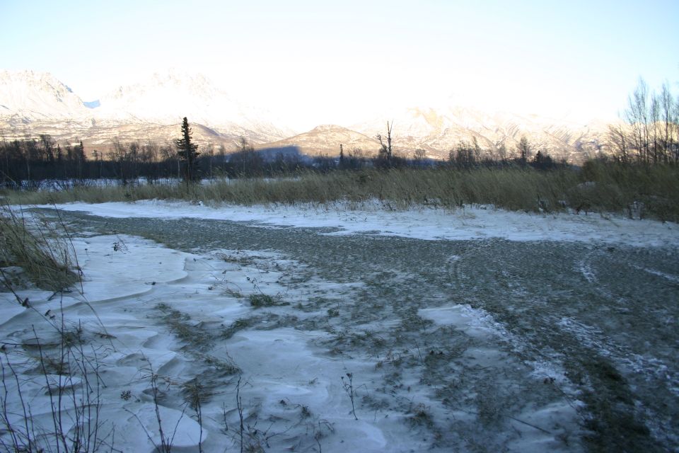 snowy ground and tall grass with mountains in the background