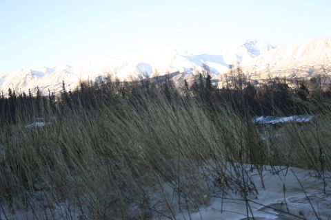 2003 Jeep TJ - A winter landscape features snow-capped mountains in the distance, with foreground elements of dry grass and trees.