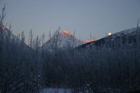 2003 Jeep TJ - Winter mountain landscape at dusk with the moon rising over a snow-covered peak.