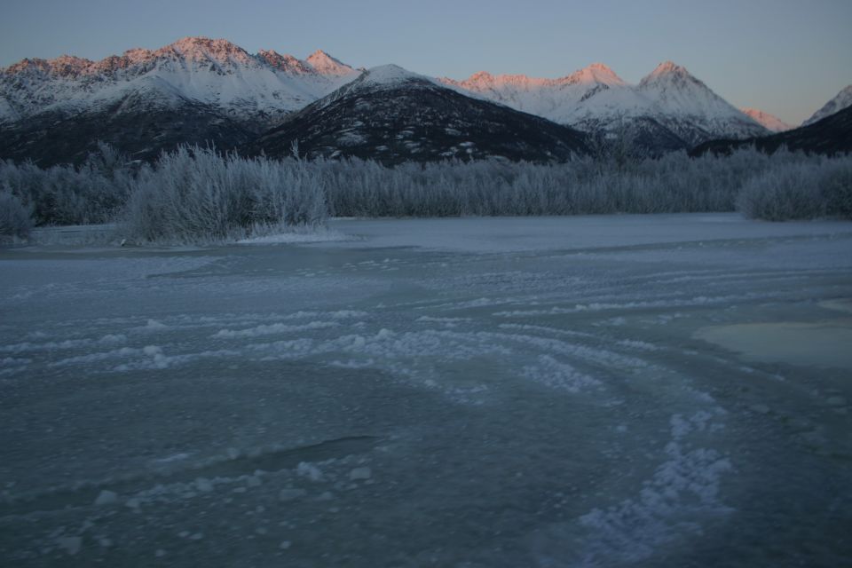 Frozen landscape with snow-covered mountains and trees under a pale blue sky