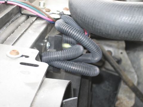 1995 Ford Bronco - Here is how it is now, covered to hopefully prevent water and heat