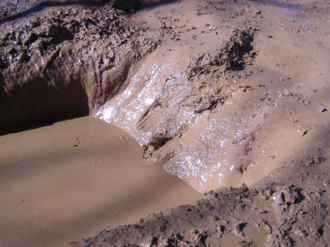 1979 Ford Bronco - A muddy landscape with evidence of vehicle passage, showing deep ruts and tire marks.