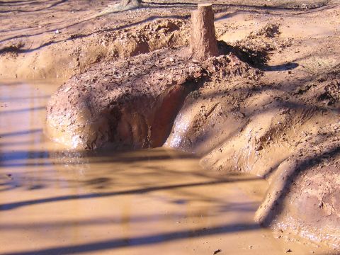 1979 Ford Bronco - A tree stump rises from a muddy landscape with pools of water.