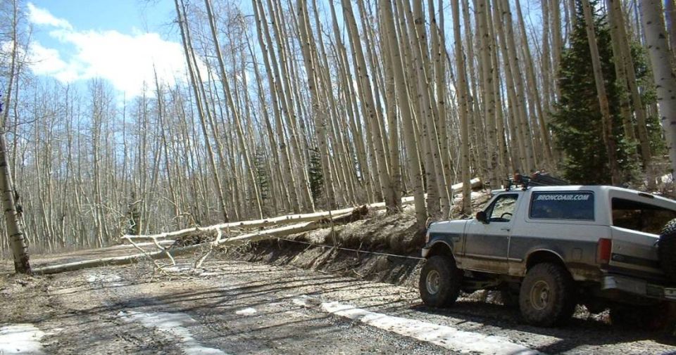 Lifted gray Ford Bronco winching a fallen aspen tree off a muddy forest trail