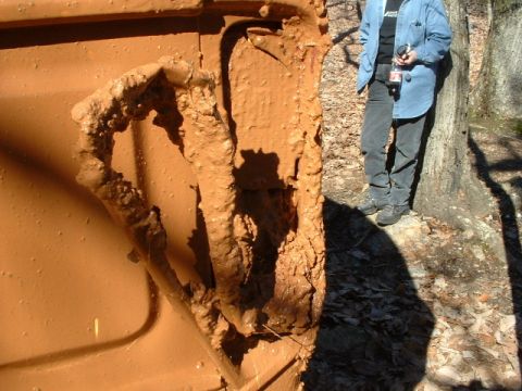 1992 Ford Mustang - A person stands near a mud-covered vehicle part in a wooded area.