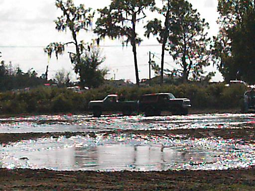 Two pickup trucks are parked in a muddy area with puddles. Trees with Spanish moss are in the background