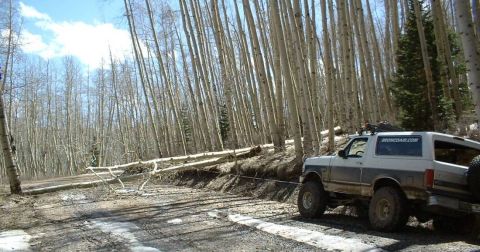 1993 Ford Bronco - Winching trees out of the road.