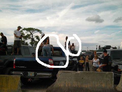 1986 Ford Bronco - People gather around trucks at an outdoor event under a cloudy sky.