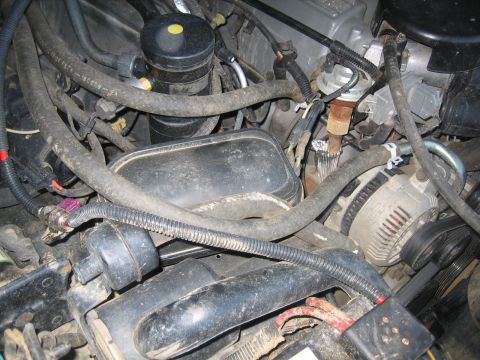 1995 Ford Bronco - Close-up view of an engine bay, showing various hoses, the alternator, and other engine components.