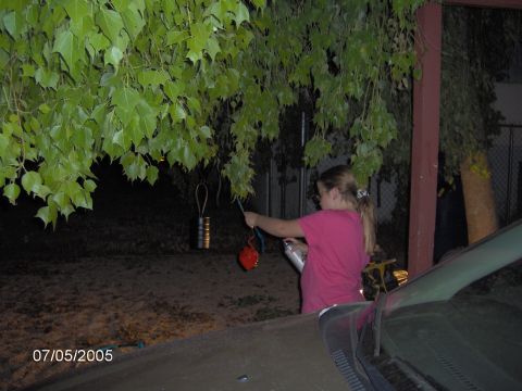 1978 Ford Bronco - Girl sprays a red object hanging from a tree branch on 07/05/2005.