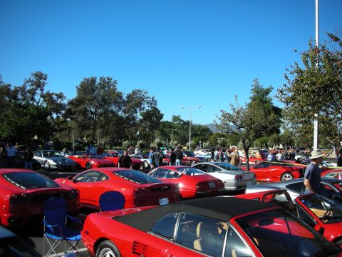 1992 Ford Crown Victoria - A gathering of sports cars, mostly red, with attendees enjoying the sunny day.