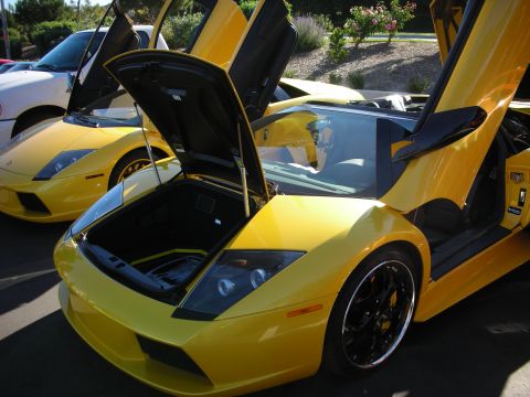1992 Ford Crown Victoria - Two yellow Lamborghini Murciélagos are parked with their doors and trunks open.