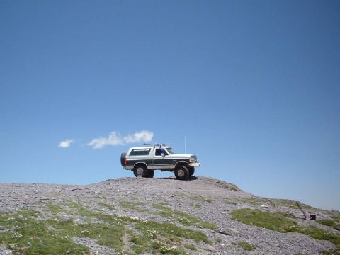 1993 Ford Bronco - High up there
