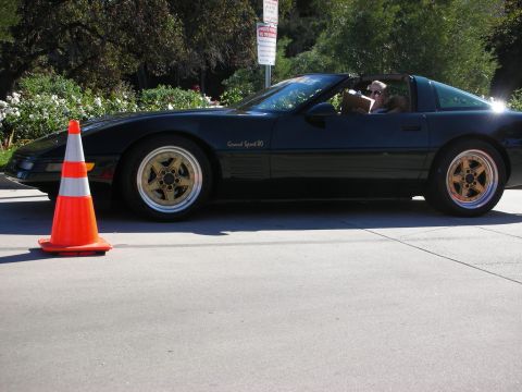 1992 Ford Crown Victoria - A black 1990 Chevrolet Corvette C4 Grand Sport is parked on the side of the road next to an orange traffic cone.