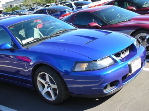 1992 Ford Crown Victoria - A bright blue Ford Mustang is parked in a lot, with other cars visible in the background.
