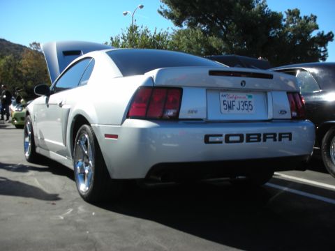 1992 Ford Crown Victoria - This silver Ford Mustang Cobra is seen from the rear with its hood open, parked next to another vehicle.