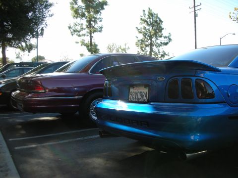 1992 Ford Crown Victoria - A maroon 1992 Ford Crown Victoria is parked next to a blue Mustang Cobra.