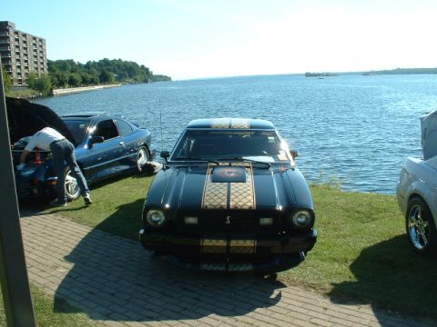 1978 Ford Mustang II - A black 1978 Ford Mustang II with gold racing stripes is parked near the water with other vehicles.