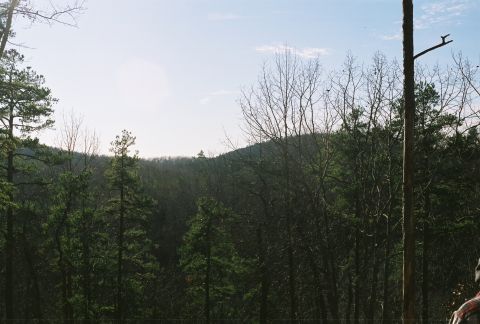 1978 Ford Bronco - A view of rolling, tree-covered hills on a sunny day.