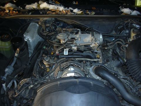 1996 Ford Crown Victoria - The engine bay of a 1996 Ford Crown Victoria is shown, with snow and leaves visible on the cowl area.